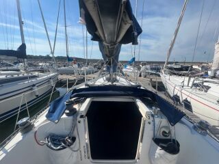 Kings Cruiser 33