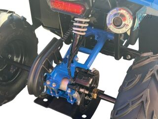 Tao Motor Premium Mudhawk 110
