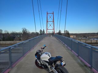 Aprilia Tuono V4 R 125kW