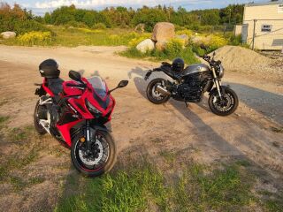 Benelli Leoncino 800 288MV-A 56kW