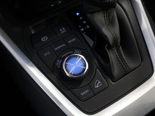 Toyota RAV4 Luxury Plus AWD 2.0 129кВ
