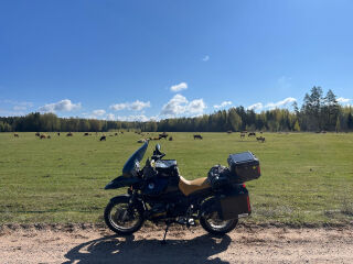 BMW R 1150 GS R 1150 GSA 62kW