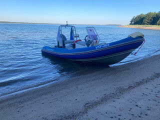 Silver Panther 480