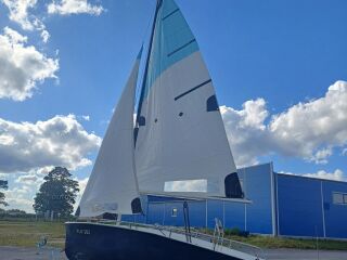Cumulus 164