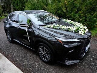 Lexus NX 450h+ 2.5 227kW