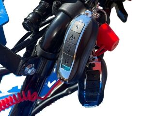 Tao Motor Premium Mudhawk 110