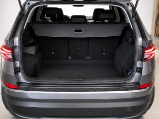 Skoda Kodiaq 110кВ