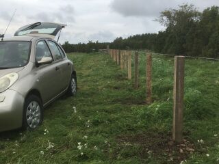 Nissan Micra 1.0 48kW