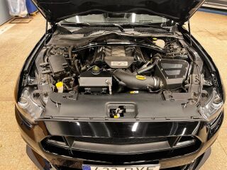 Ford Mustang 5.0 V8 324kW