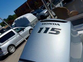 Silver Shark 580 CC/BR Honda BF115D