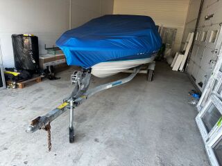 Bayliner  100kW