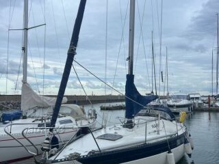 Kings Cruiser 33