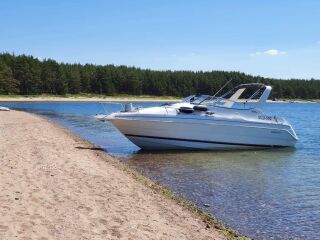 Wellcraft 2600 Martinique 7.4 V8 228kW