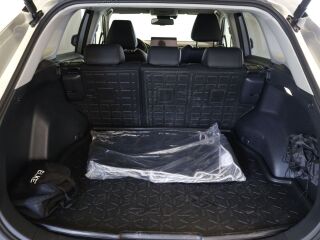 Toyota RAV4 Luxury Plus Technology Pakett 131kW