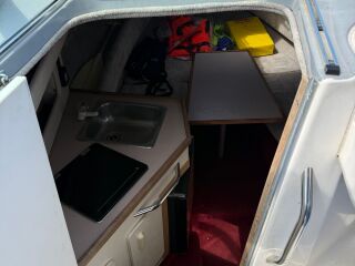 Sea Ray 230