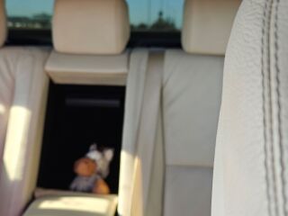 Mercedes-Benz S 500 long 5.5 v8 285kW