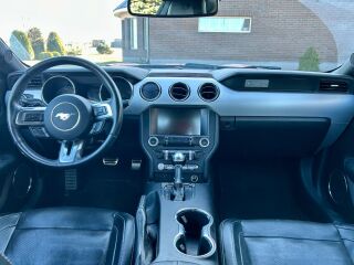 Ford Mustang GT 5.0 310kW