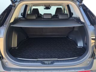 Toyota RAV4 Luxury Plus 129kW