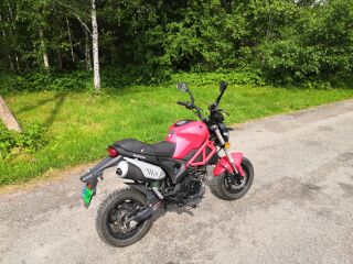 Romet MOTORS PONY 50 2кВ