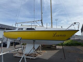 Elvström 65