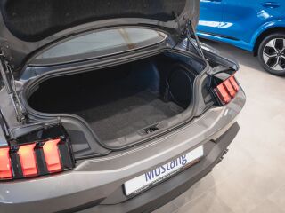 Ford Mustang GT Fastback 5.0 V8 328kW