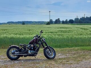 Kawasaki VN 800 Bobber