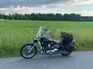Harley-Davidson Dyna Wide Glide 50kW