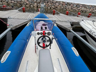 Silver Panther 480