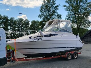 Bayliner Ciera 161кВ