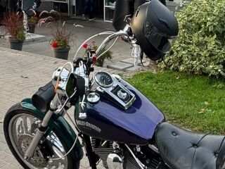 Harley-Davidson Dyna Wide Glide 50kW
