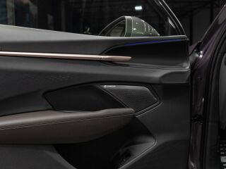 Cupra Terramar 2.0 195кВ