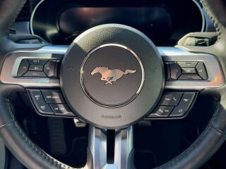Ford Mustang Mach 1 5.0 338kW