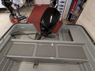 Sting Sting 600 Pro HT + Mercury F80 ELPT EFI