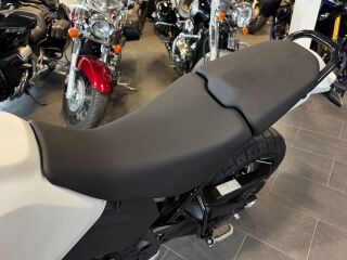 Ducati DesertX L2 81kW