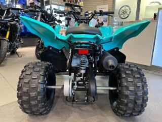 Yamaha YFM110R