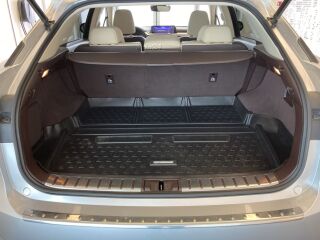 Lexus RX 450h Executive + Tehnoloogia pakett 3.5 193kW