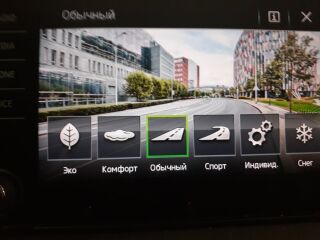 Skoda Kodiaq 2.0 176kW