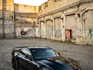 Ford Mustang 5.0 V8 324kW