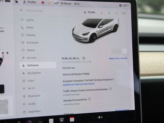 Tesla Model 3 Standard Range Plus 208кВ