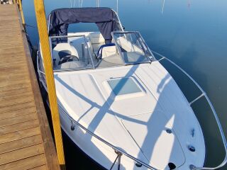 Bayliner 192 Discovery Cuddy 3.0 99kW