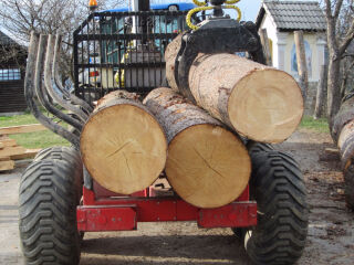 Haarats Forester Palgihaarats