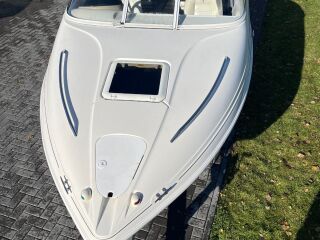 Campion Allante sport 565VR 100hp F100DET