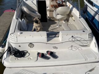 Larson 220 cabrio 5.0 V8 199kW