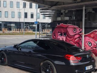 BMW 640 3.0 R6 235кВ