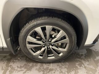 Lexus UX F SPORT Design 2.0 112kW
