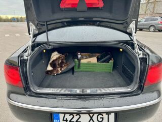 Volkswagen Phaeton Long 3.0 176kW