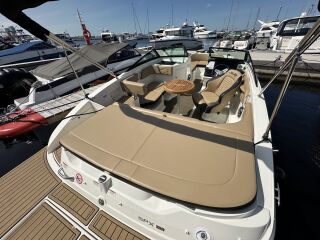Sea Ray 190 SPX 4.5 Mercury 4,5MPI 250hj 186kW