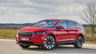 Skoda Enyaq maastur
