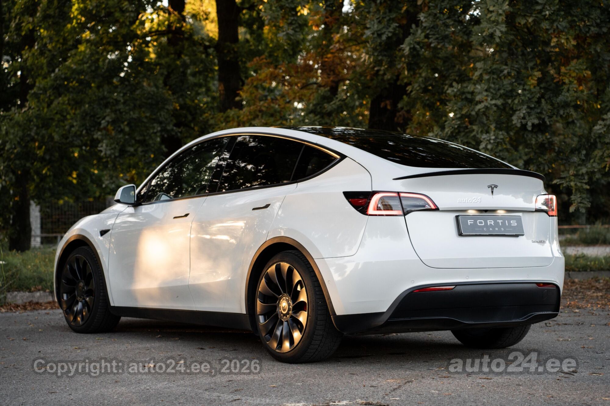 Tesla Model Y - 3