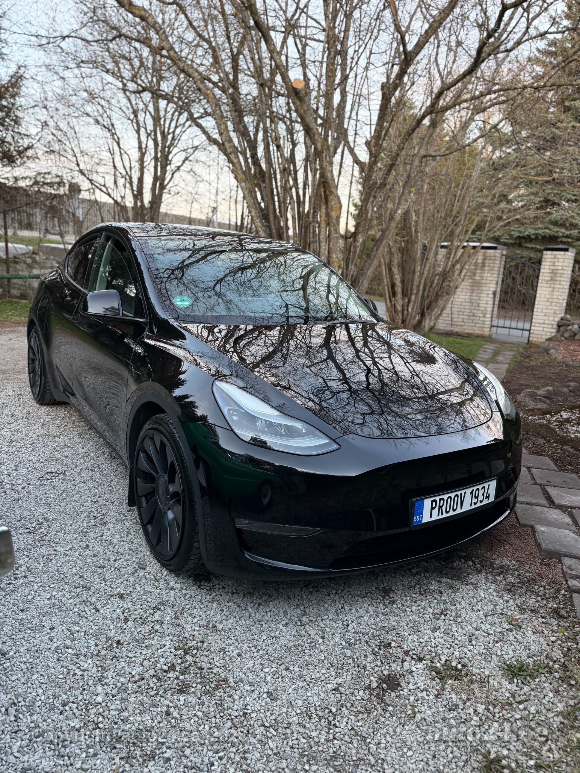 Tesla Model Y - 1